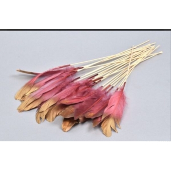 SP: Feather op stok – 6 stuks – Pink/Gold – 30cm
