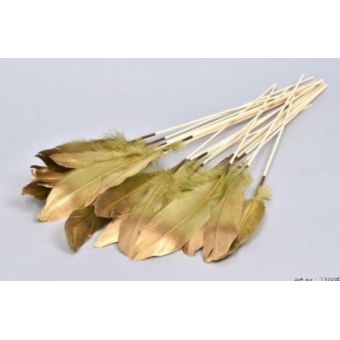 SP7: Feather op stok – set van 6 – Green/Gold – 30 cm